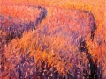hoge land 3