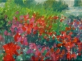 De-rode-dahlias