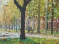 Singel-voorjaar-200-x-40-cm-klein