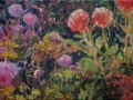 Tuin-klein-Roze-Dahlia-klein