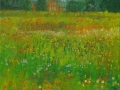 bloemenweiland-Kasteel-Anholt