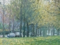 singel-voorjaar-1