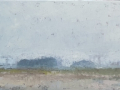 Landschap-van-de-zeearend-klein