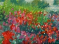 De-rode-dahlias