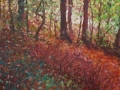 Noorderplantsoen herfst doorkijk